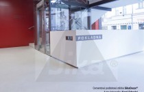 SikaDecor