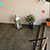 SikaDecor